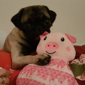 Meet your Posher, Lise